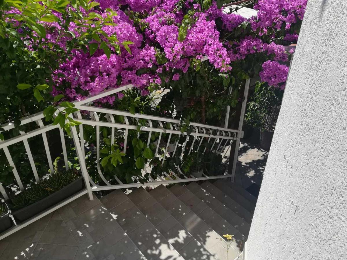 Dalmati House Hotel Brodarica  Bagian luar foto