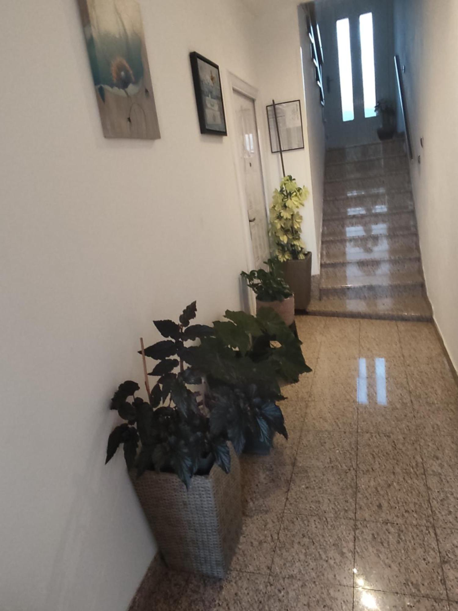 Dalmati House Hotel Brodarica  Bagian luar foto